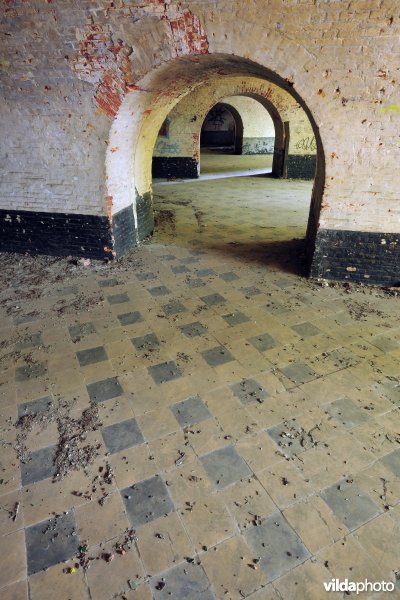 Fort 6