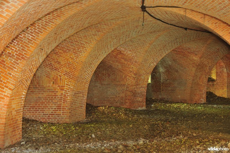 Fort 6