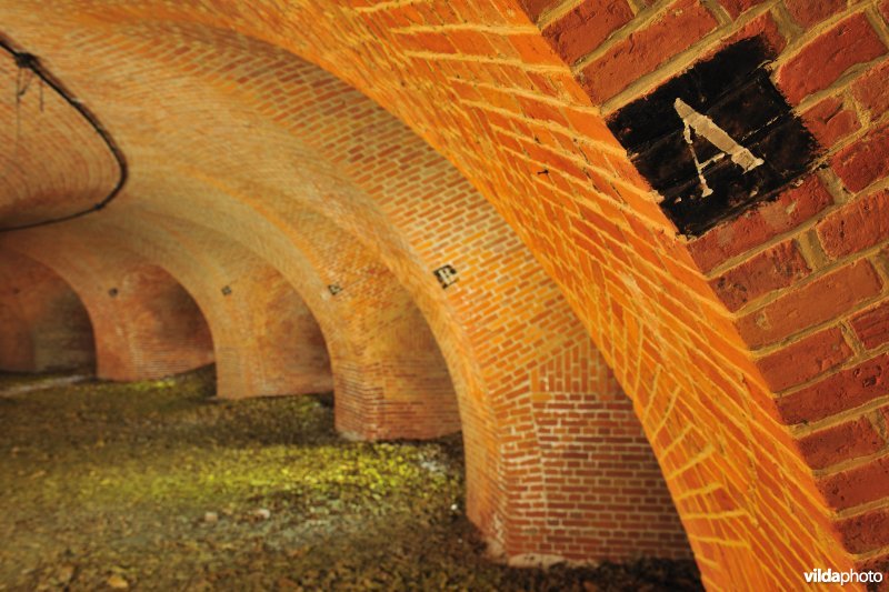 Fort 6