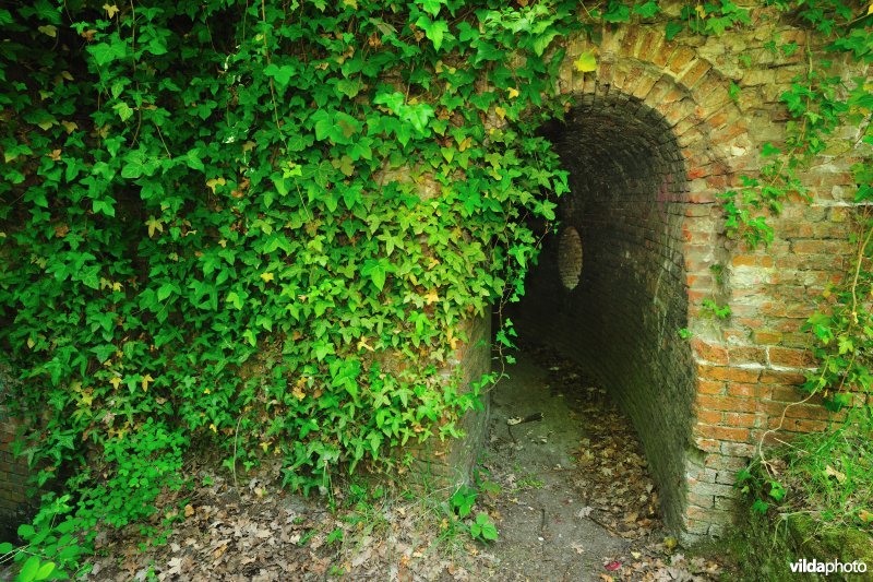 Fort 6: toegang naar dak réduit