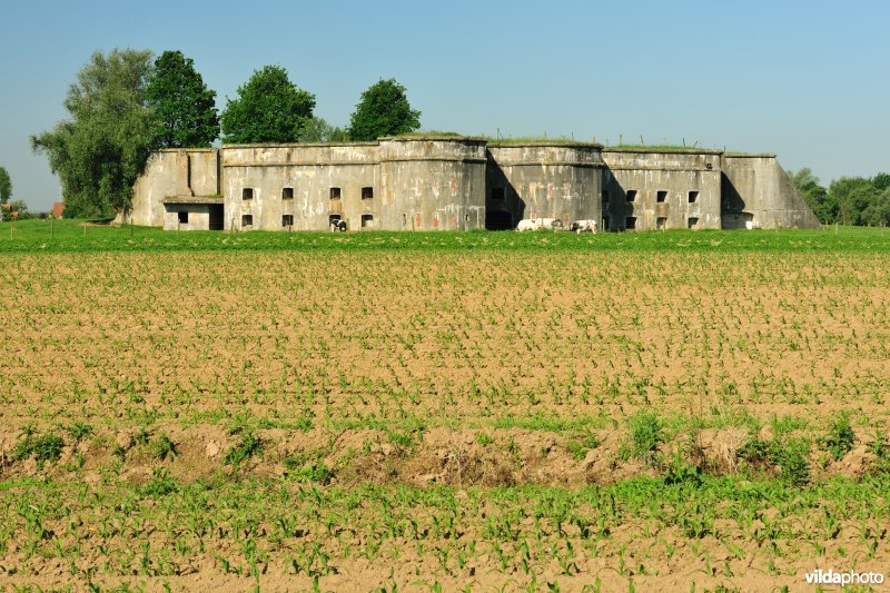 Schans Lauwershoek