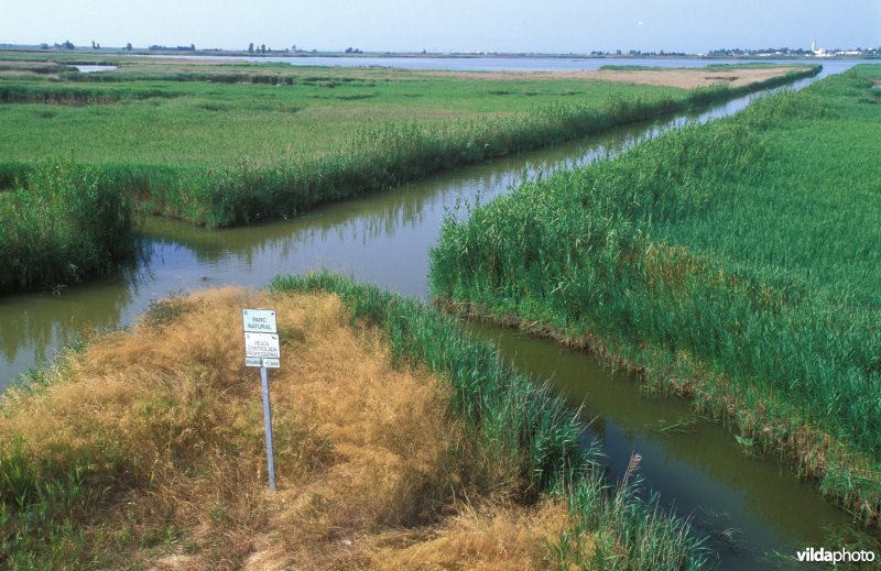 Ebro delta