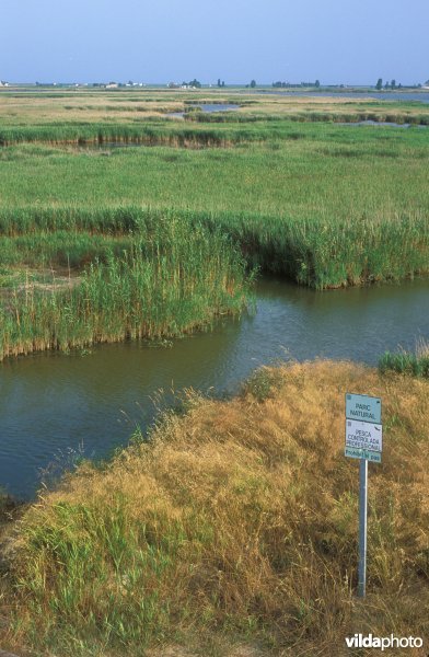 Ebro delta