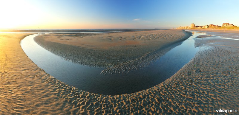 Strand te Koksijde