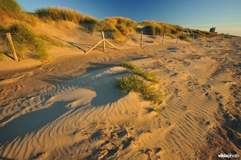 Natuurreservaat Zeebermduinen