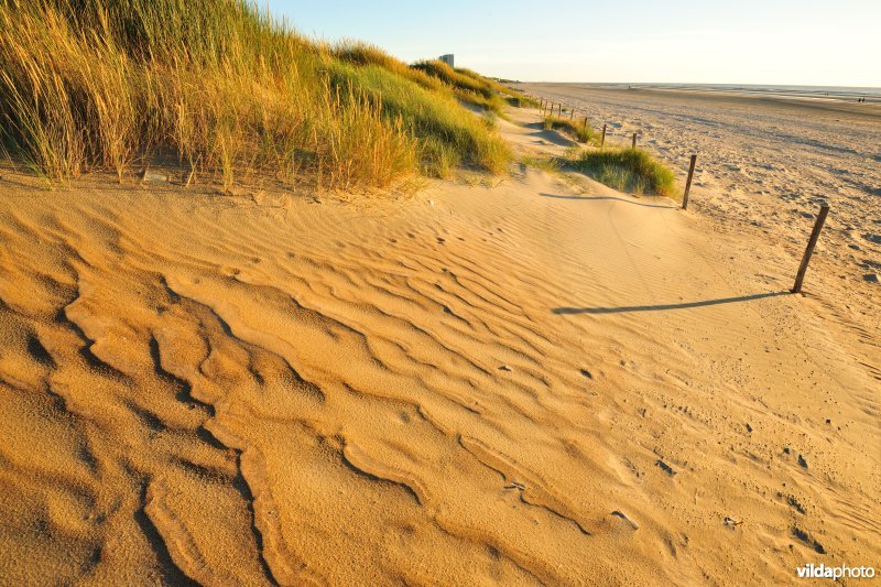 Natuurreservaat Zeebermduinen