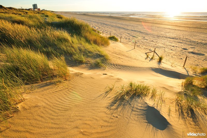Natuurreservaat Zeebermduinen