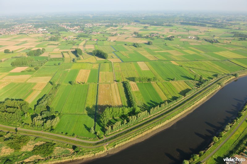 Scheldemeersen in Berlare