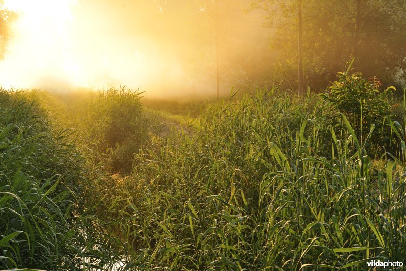 Vlassenbroekse Polders