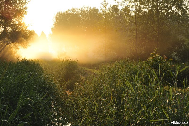 Vlassenbroekse Polders