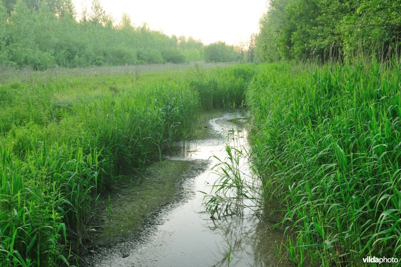 Vlassenbroekse Polders