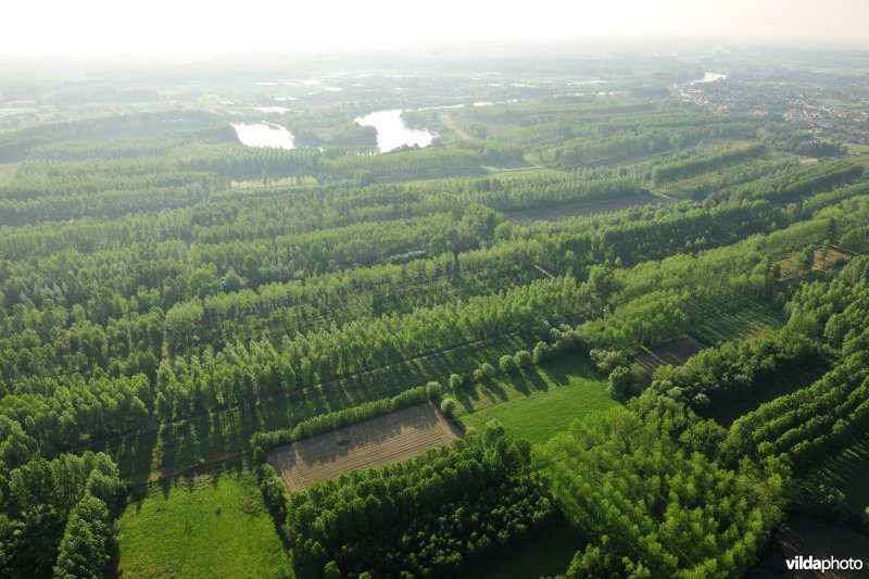 Vlassenbroekse Polders