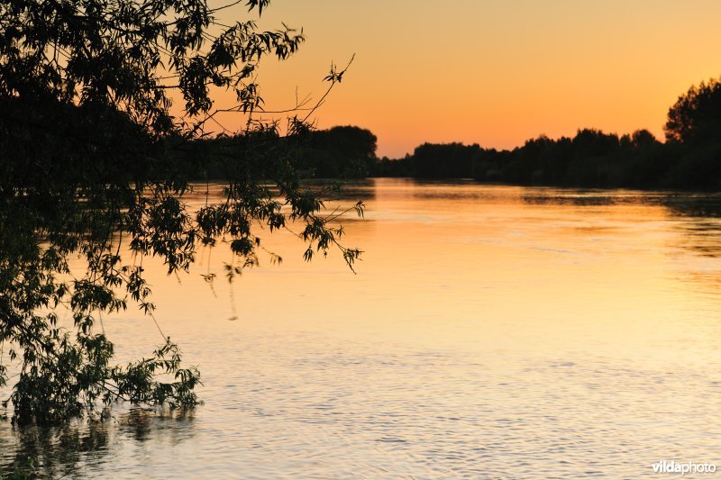 De Schelde aan de Vlassenbroekse Polders