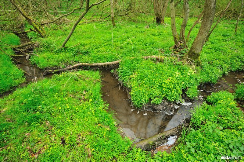 Natuurreservaat Pyreneeën
