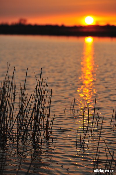 Natuurreservaat Putten West