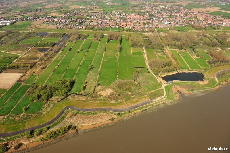 Overloopdijk en weidevogelgebied