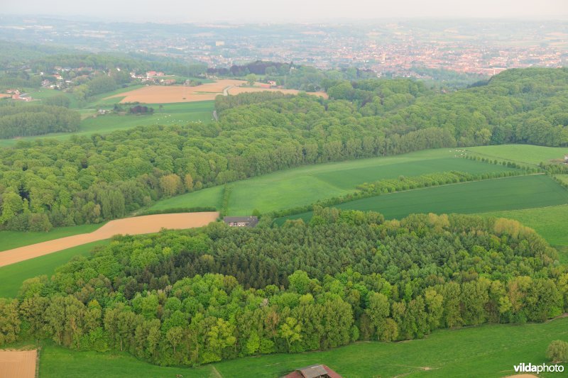 Hotondberg in de Vlaamse Ardennen