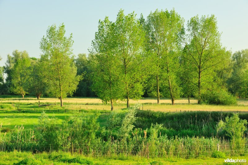 Weijmeerbroek