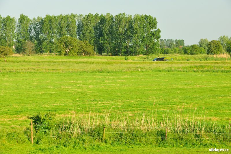 Weijmeerbroek