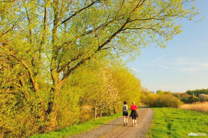 Joggen in de Bourgoyen