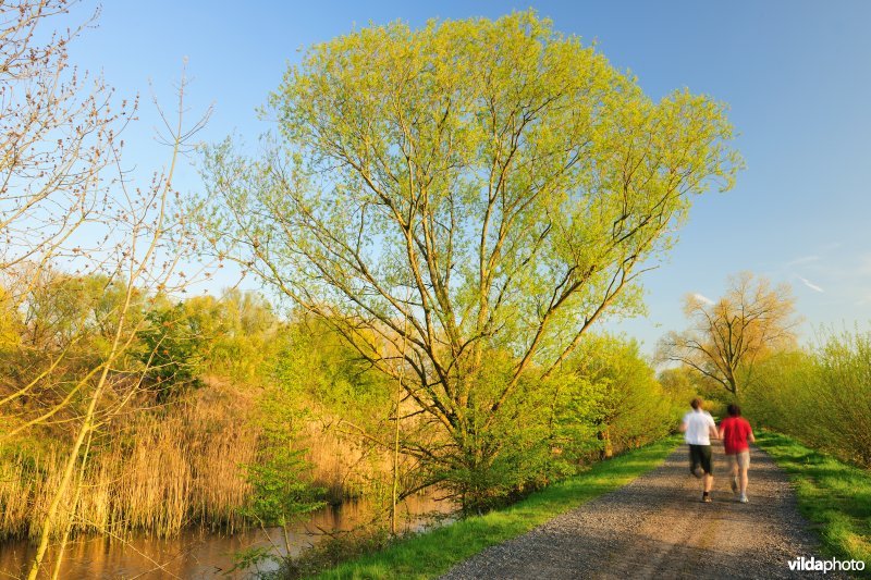 Joggen in de Bourgoyen