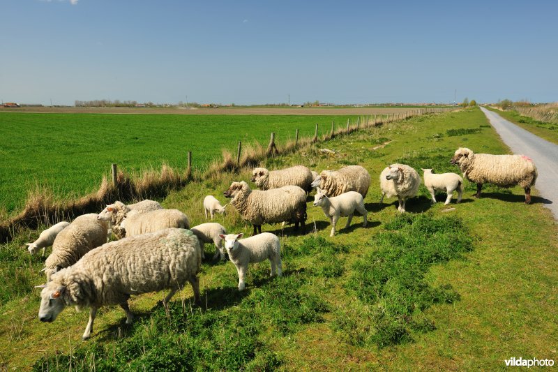 Spoorweg Frontzate