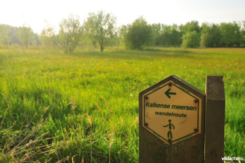 Wandelwegwijzer in de Kalkense meersen