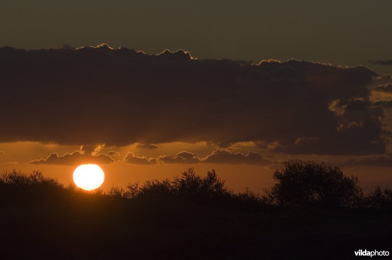 Zonsondergang in de Westhoek