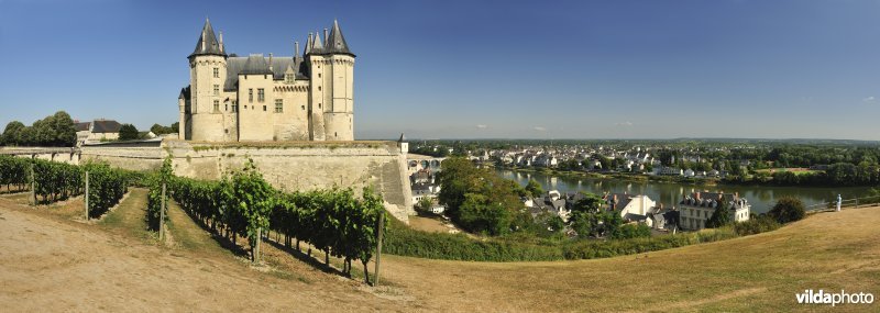 Kasteel en wijngaard van Saumur
