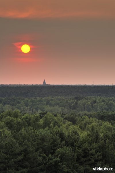Vallei van de Zwarte Beek