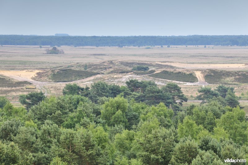 Vallei van de Zwarte Beek