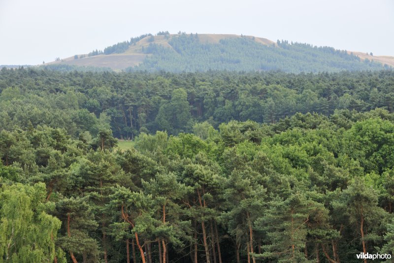 Mijnterril in de Vallei van de Zwarte Beek