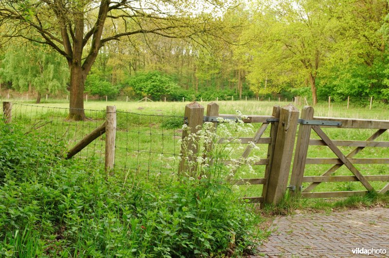 Afrastering met poort en klaphekje