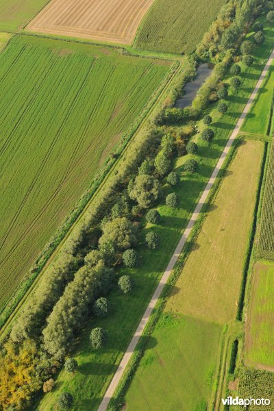 Cauwensteinse dijk