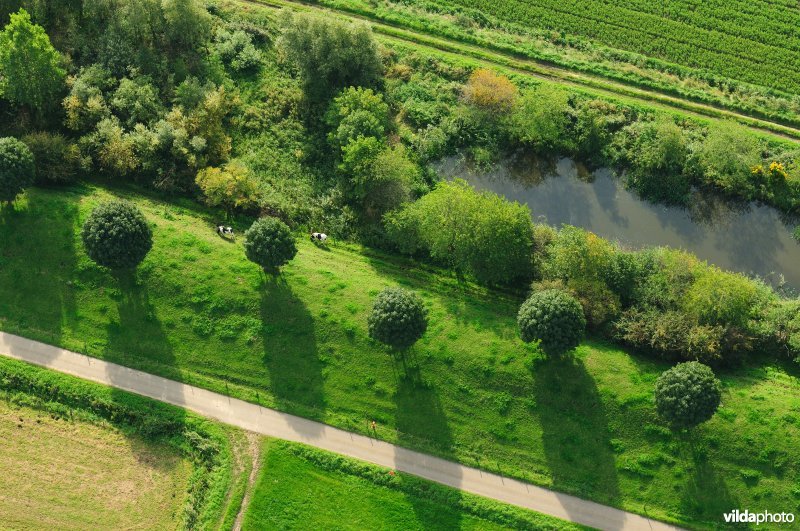 Cauwensteinse dijk