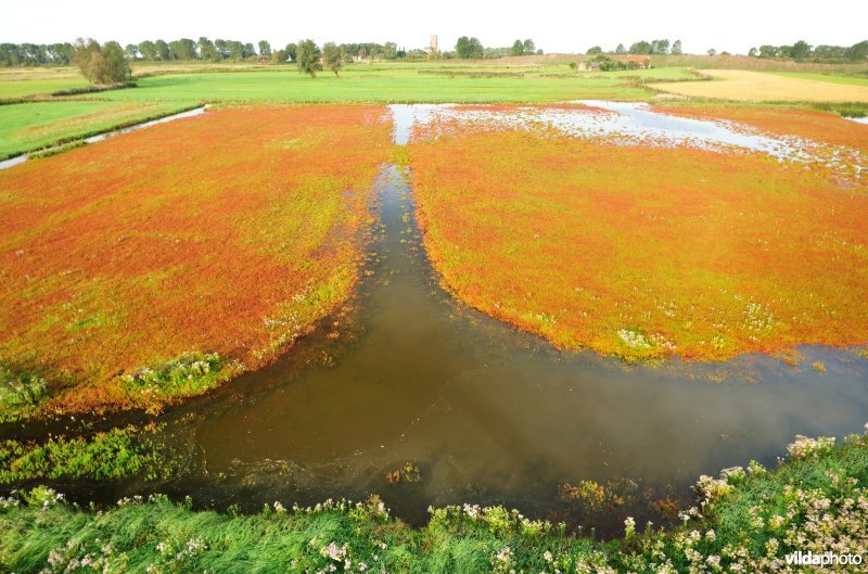 Dudzeelse Polder