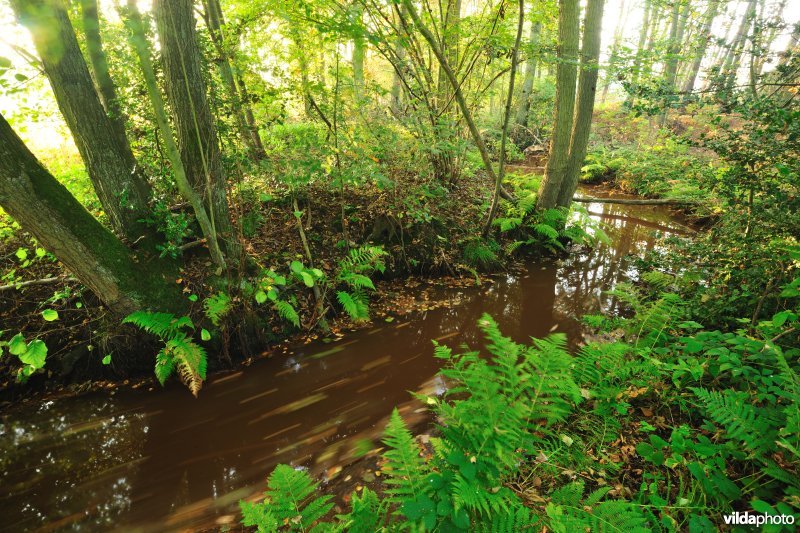 Vallei van de Zwarte Beek