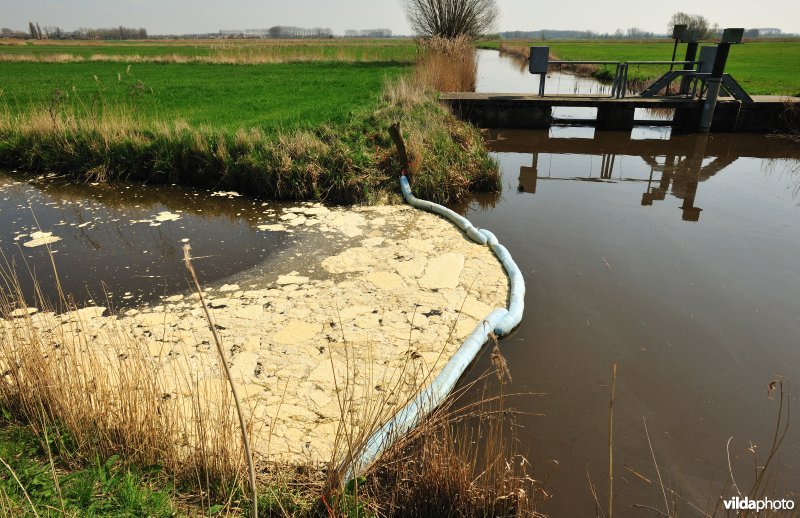 Vervuiling in de Stenensluisvaart