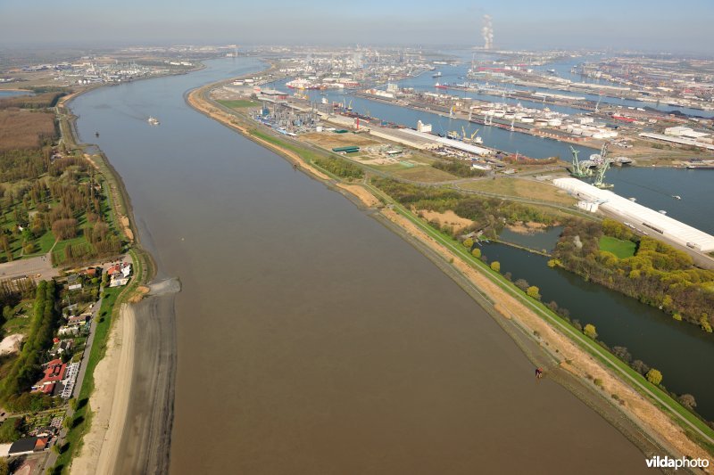 De Schelde