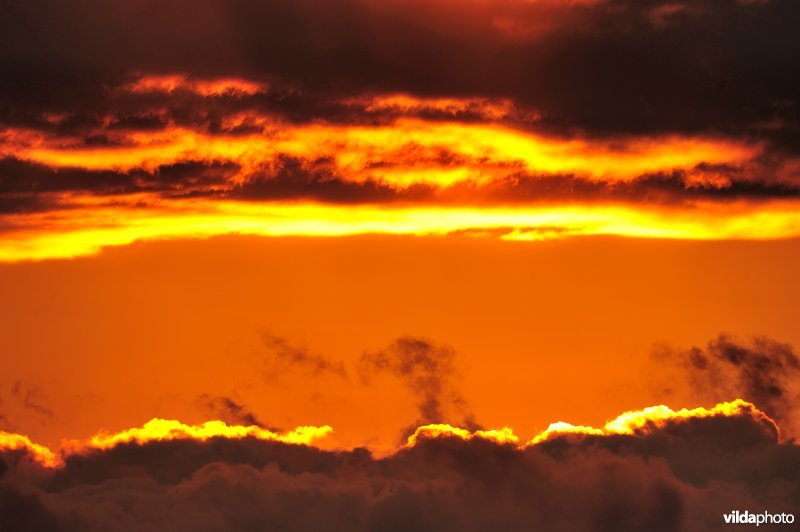 Zonsopgang in de Ardennen