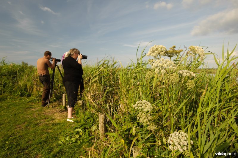 Ezumakeeg, Lauwersmeer