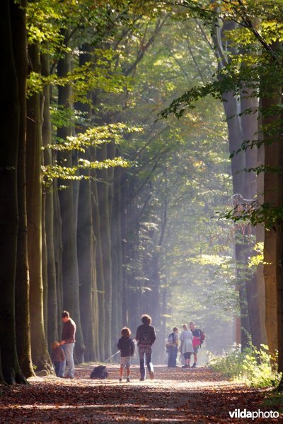 Wandelaars in de herfst