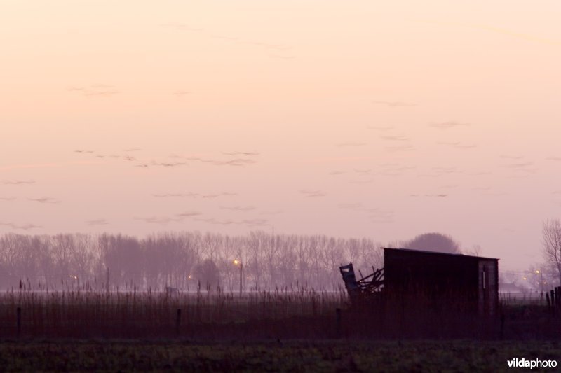Kijkhut in de polders
