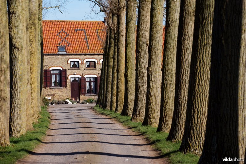 Hoeve 