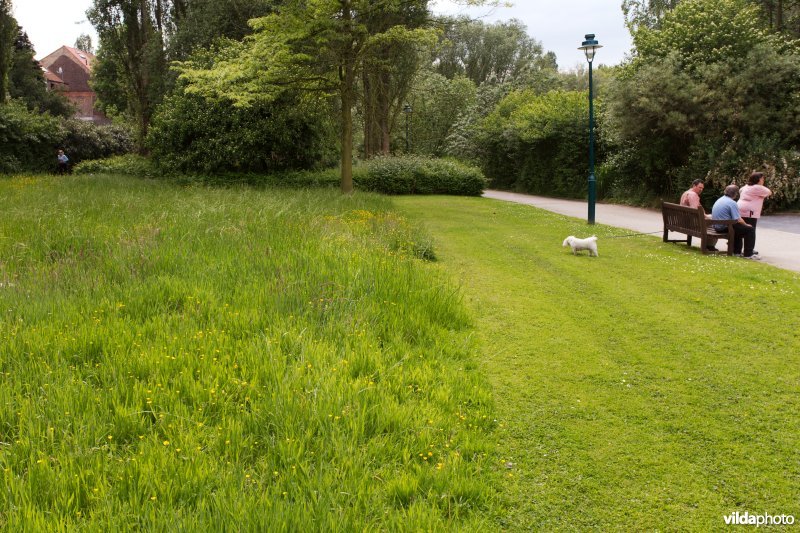 Gefaseerd gemaaid grasland