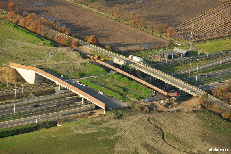 Ecoduct De Munt op de E19 snelweg