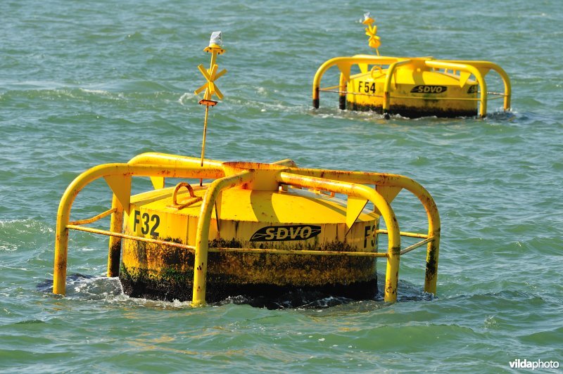 Mosselkweekboeien in de Noordzee