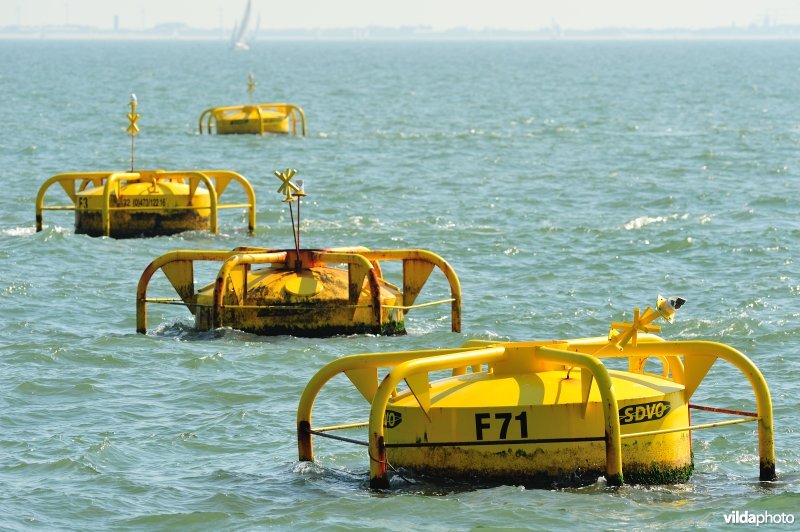 Mosselkweekboeien in de Noordzee
