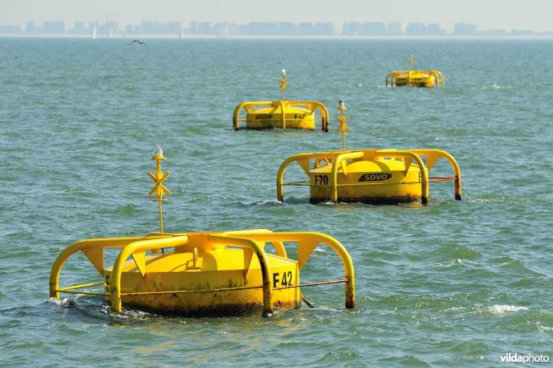 Mosselkweekboeien in de Noordzee