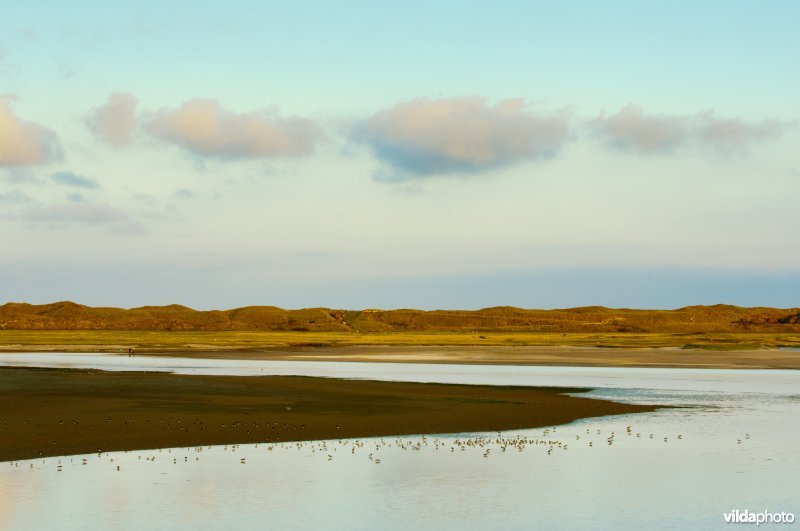 De Slufter, Texel